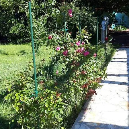 فيلة Rosemary Park زادار