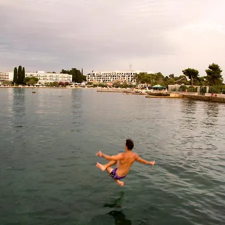 فيلة Rosemary Park زادار