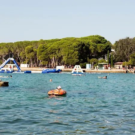 فيلة Rosemary Park *