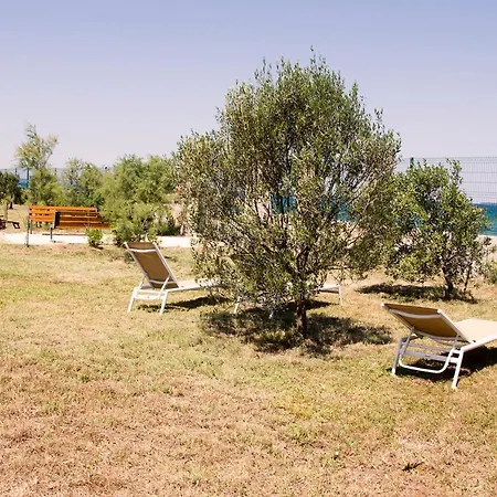 Rosemary Park Vila *