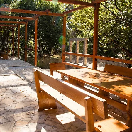 فيلة Rosemary Park زادار