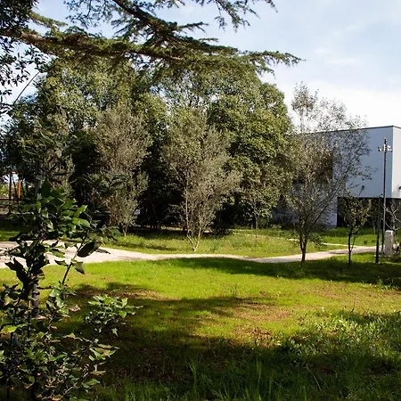 Rosemary Park فيلة