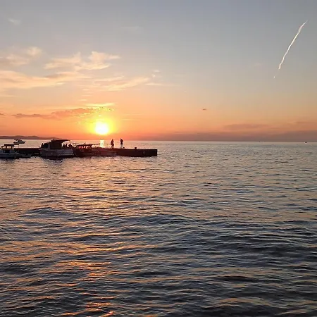 Rosemary Park * 자다르