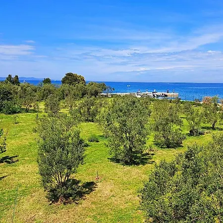 빌라 Rosemary Park *