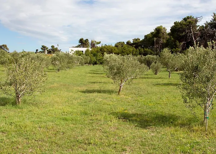 빌라 Rosemary Park *