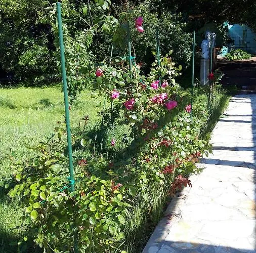 빌라 Rosemary Park 자다르