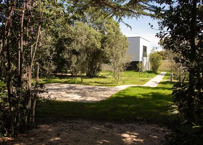 Rosemary Park *
