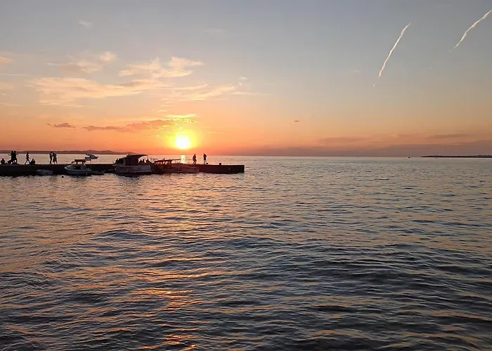 Rosemary Park * 자다르