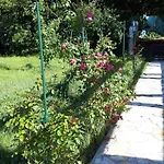 Villa Rosemary Park Zadar