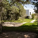 Rosemary Park *