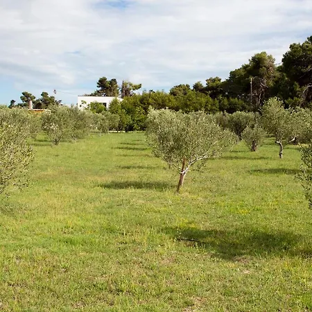 Villa Rosemary Park *