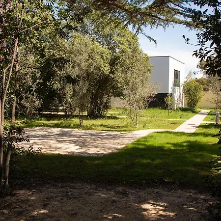 Rosemary Park *