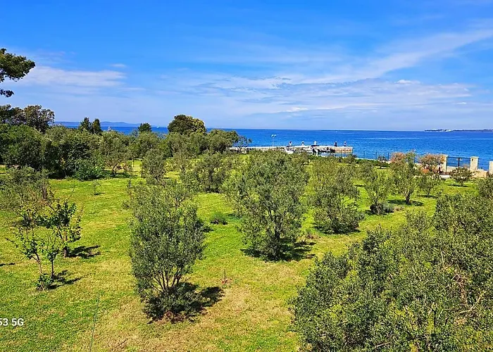 Villa Rosemary Park *